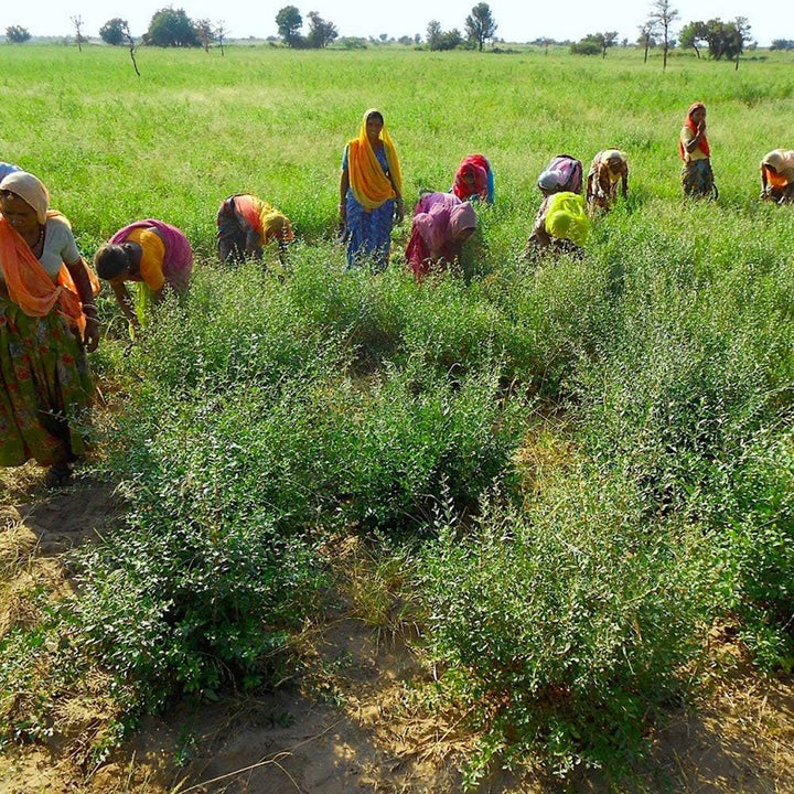 Henna Powder - Red Hair Dye - Fresh and Pure Organic - 200G -  (Copper Red, 200G)