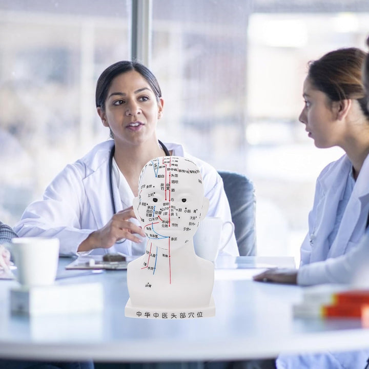 Medical Head Acupuncture Model with Facial Acupoints Soft PVC Human Head for Teaching Home School and Hospital Use and Detailed Acupoint Point Display