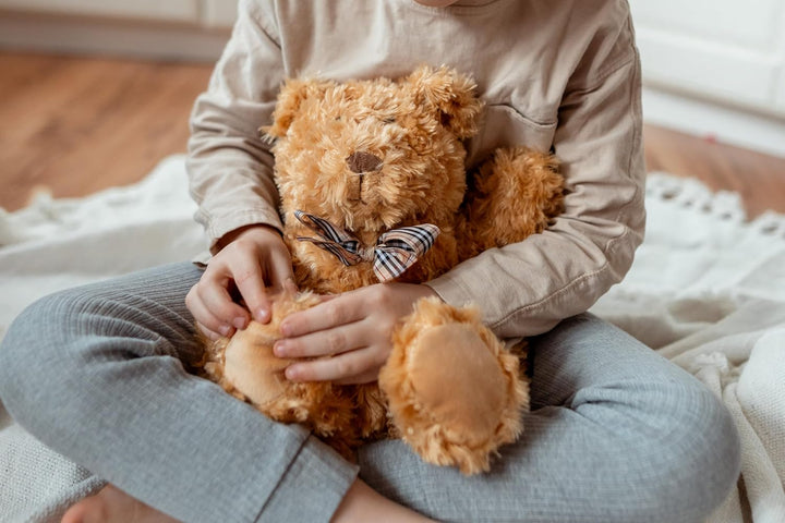 Zhu Zhu Warm Snuggles Brown Bear Microwave Teddy Warmer Wheat Bags Microwavable Soft Toy Warmers Heatable