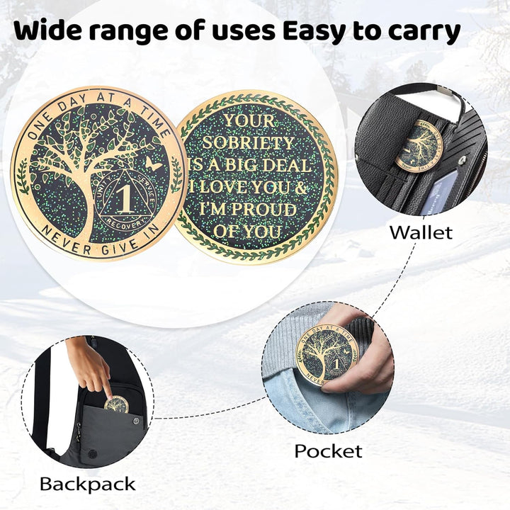 24 Hours, 1/2 Yearsobriety Chip, Tree of Life Recovery Coin, AA Recovery Medallion, Anniversary Token Sobriety Gifts, Alcoholics Anonymous Medallion (1 Year)
