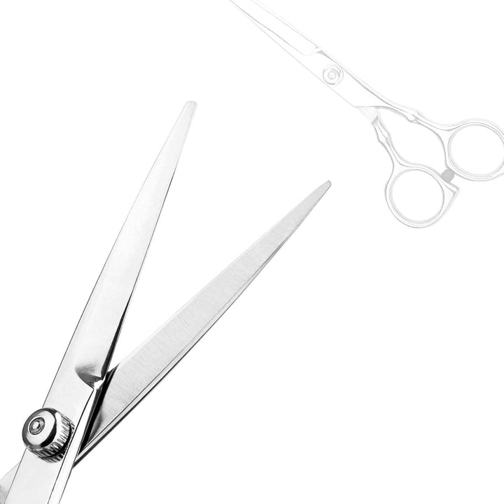 Professional Hair Cutting Scissors Set for Home, Barber Salon, Thinning Scissors Set with Comb and Case for Men/Women (Silver)