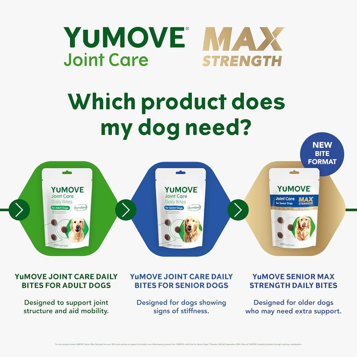 Max Strength Joint Supplement for Senior Dogs, Essential Dog Hip and Joint Aid for Senior Dogs with Glucosamine, Chondroitin, Green Lipped Mussel, Aged 8+, 60 Chews