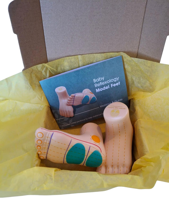 Baby Reflexology Model Feet