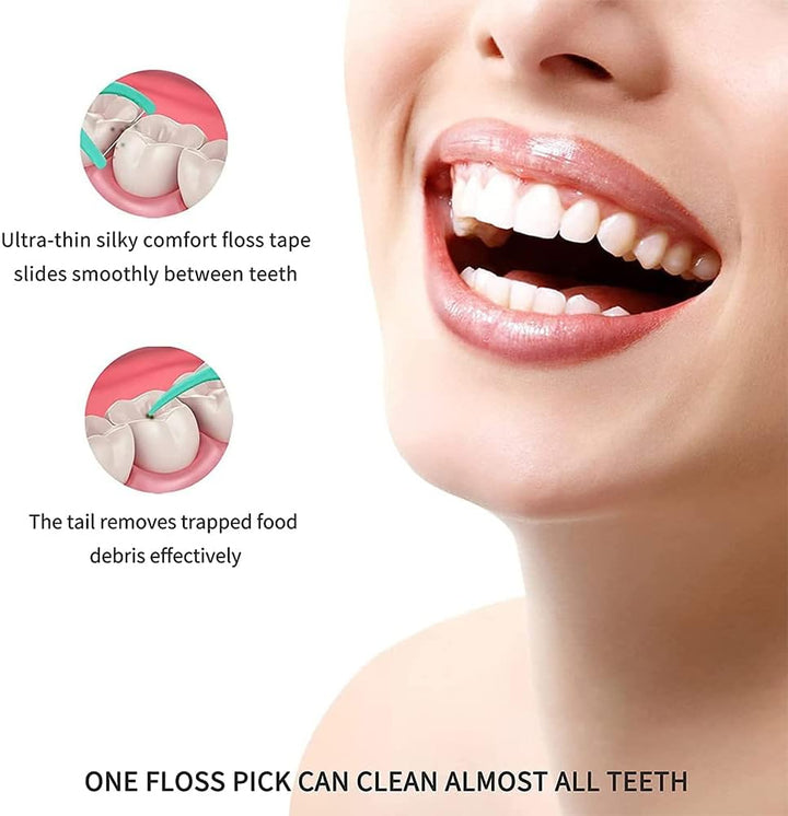 Dental Floss Picks,Dental Floss Sticks for Teeth Cleaning(100Pcs,Mint)