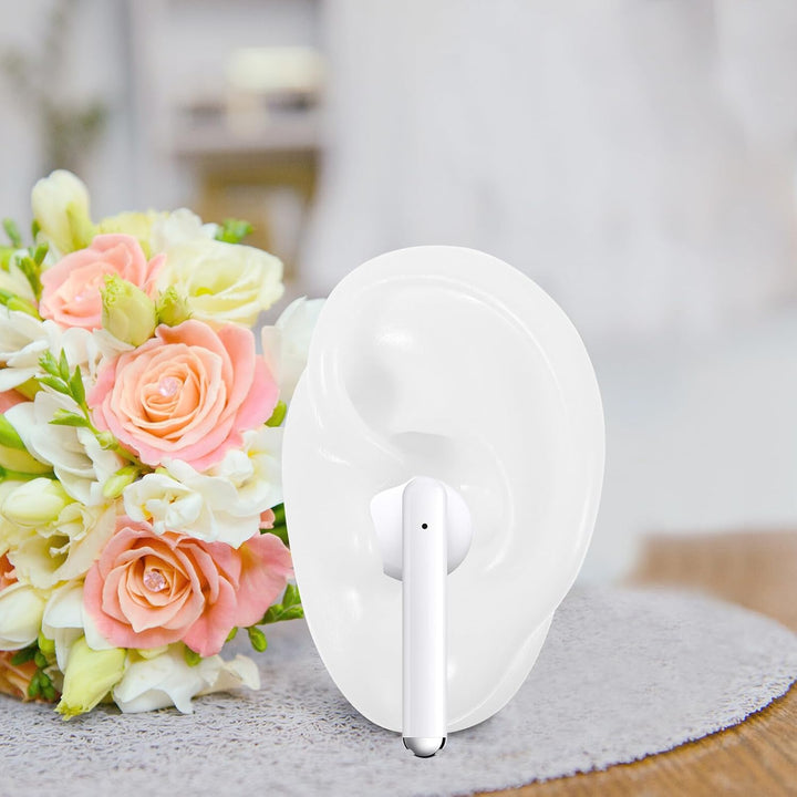 Silicone Artificial Ear Display Models for Hearing Aid Practice and Acupuncture Training Realistic Ear Shape Molds for Jewelry and Piercing Practice White