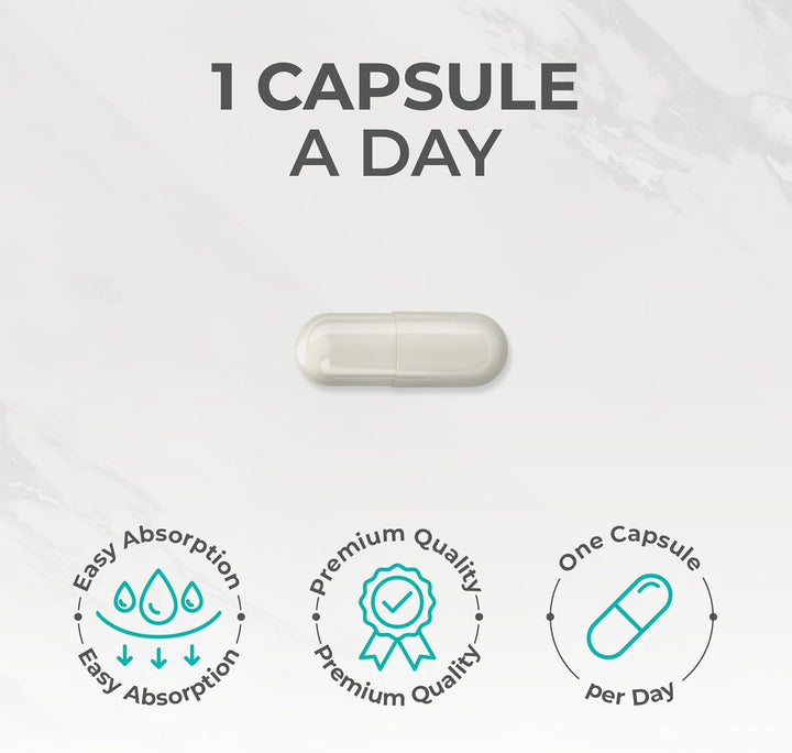 NAC Supplement, 600Mg - 90 N-Acetyl-Cysteine Capsules- Vegan Friendly Amino Acid and Glutathione Precursor for Nutritional Balance