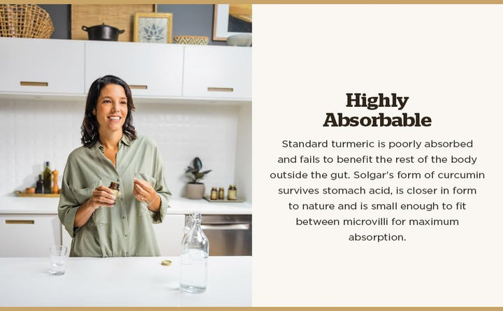 Full Spectrum Curcumin Softgels - Pack of 90 - Potent Antioxidant - Faster Absorption - Free from Sugar, Salt, Starch, Gold