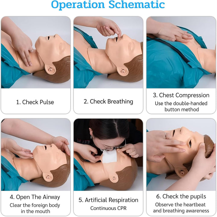 CPR Training Manikin, Professional Adult First Aid Resuscitation Manikin Teaching Aid, Rubber Half Body CPR Mannequin Dummy for Teaching Training