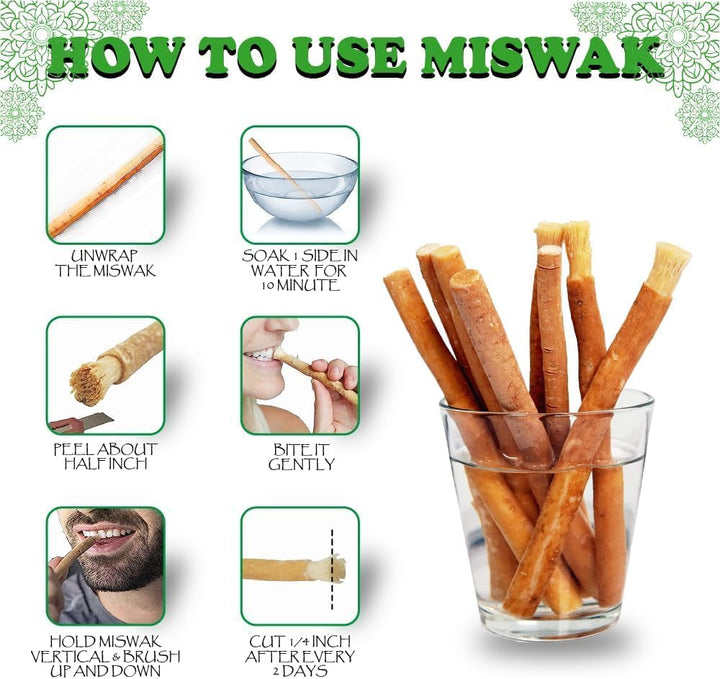 Miswak Sticks for Teeth Miswak Toothbrush Salvadora Persica Sticks El Miswak Sewak Sticks for Teeth Palo De Miswak African Teeth Cleaning Sticks Jamaican Chew Sticks (Pack of 3) مسواك طبيعي