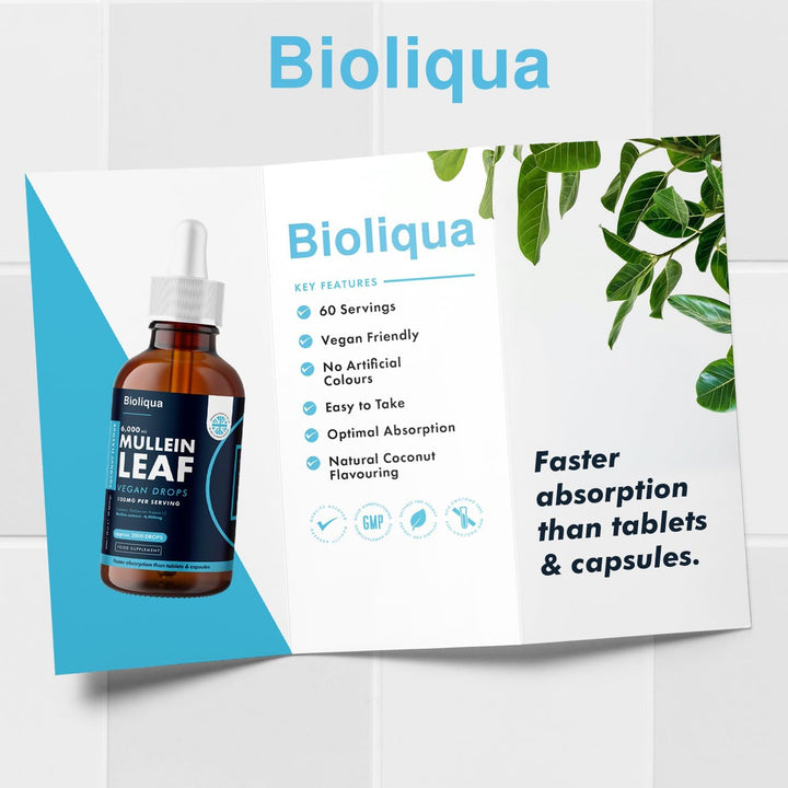 Mullein Leaf Liquid Drops - 60Ml - 2 Month Supply - High Strength - Vegan - 60 Servings - Premium Mullein Leaf Extract - 6,000Mg per Bottle - Fast Absorption - UK Made by Balance (1X Pack)