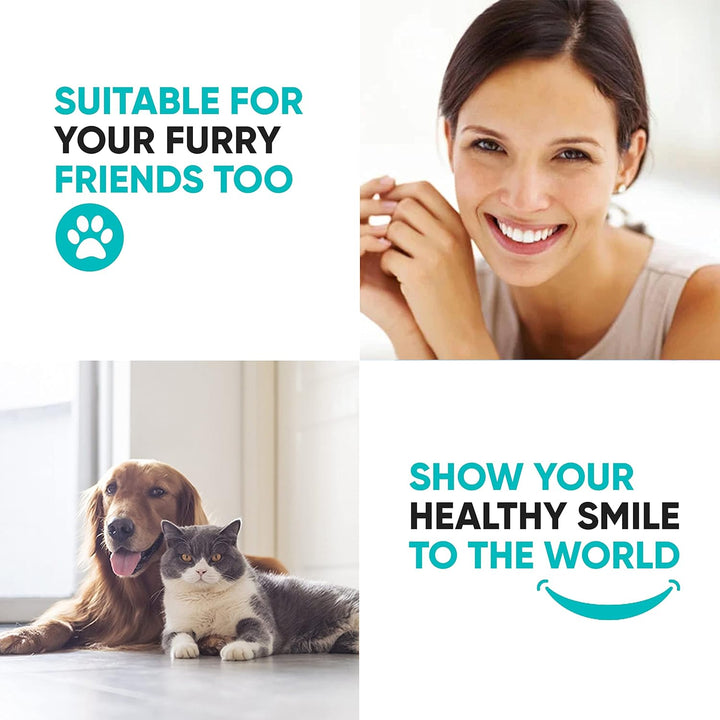 Plaque Remover Dental Care Kit Teeth Cleaning Tool Dental Care Kit Tooth Filling Repair Set Stainless Steel Dental Tools for Men Women Kids and Pet Care (5)