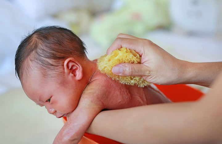 Real Sea Sponges for Babies - 6 Pk Bath Care Set, Gentle, Kind on Skin, for Bathing Washing Body Eyes, Ears Nose, Also for Newborn Toddler Kids; Baby Shower Spa Gift by