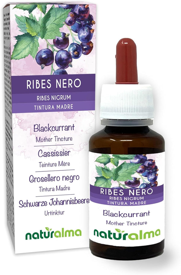 Blackcurrant (Ribes Nigrum) Leaves and Fruits Alcohol-Free Mother Tincture  - Liquid Extract Drops 60 Ml - Food Supplement - Vegan