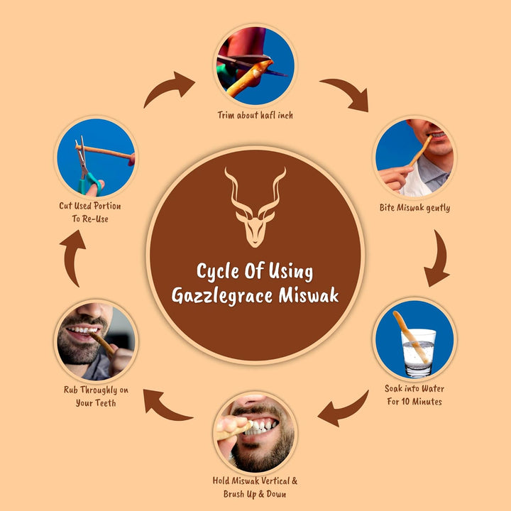 Miswak Sticks for Teeth Cleaning – Natural Siwak Toothbrush, Pack of 3 Miswak Stick with 3 Holders