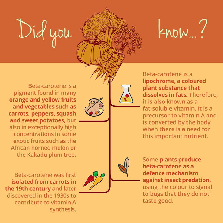 Beta Carotene | 180 Capsules | Tan Accelerator | 100% Natural Source of Vitamin a | NO Additives, Lab-Tested | Vegan