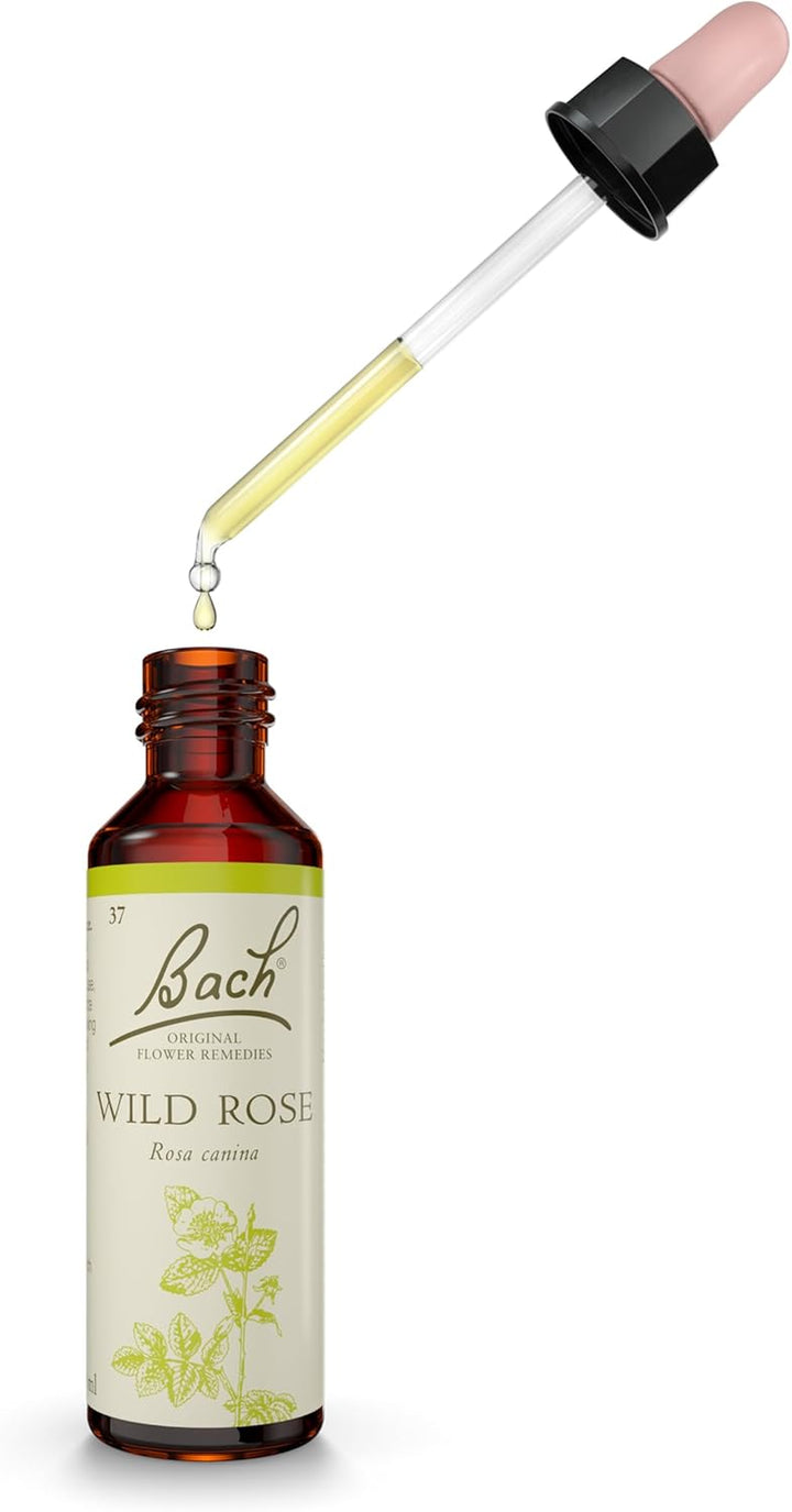 Original Flower Remedies (Wild Rose) Live the Day, Show Enthusiasm, Emotional Wellness, Natural Flower Essence, 20Ml