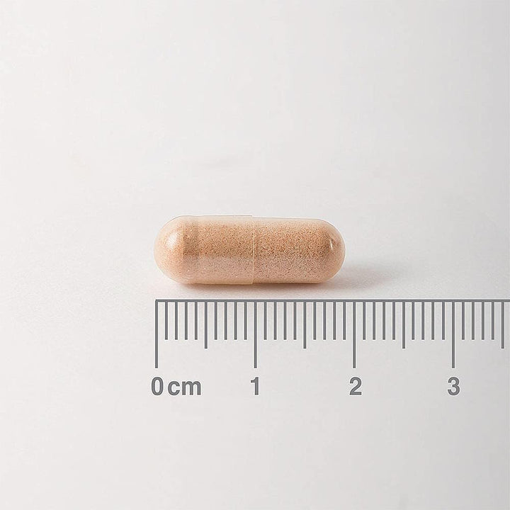 Pycnogenol 40Mg – Premium Maritime Pine Bark Extract – Standardised for Quality – 60 Vegan Capsules