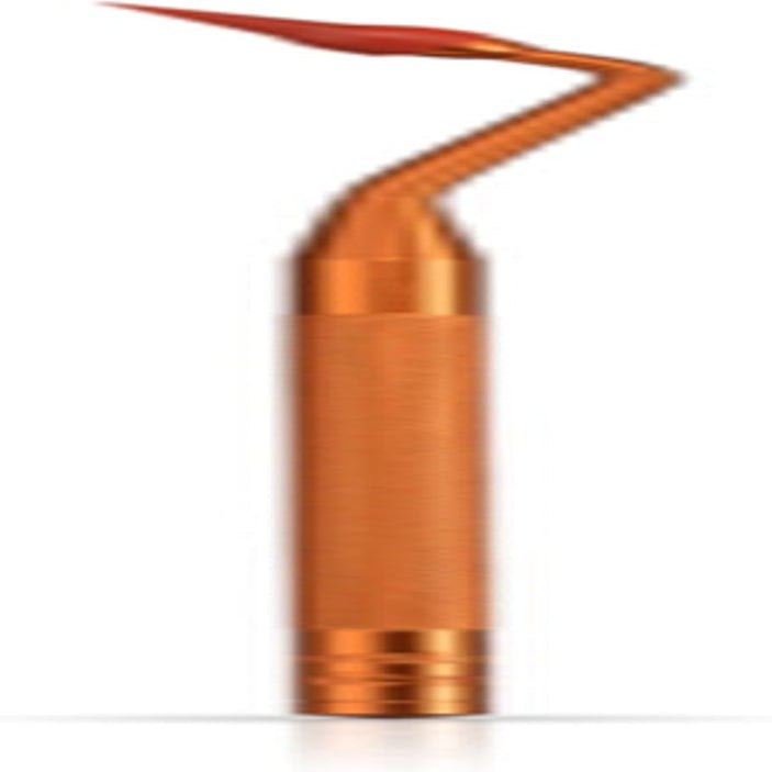 Stimulateur Gingival