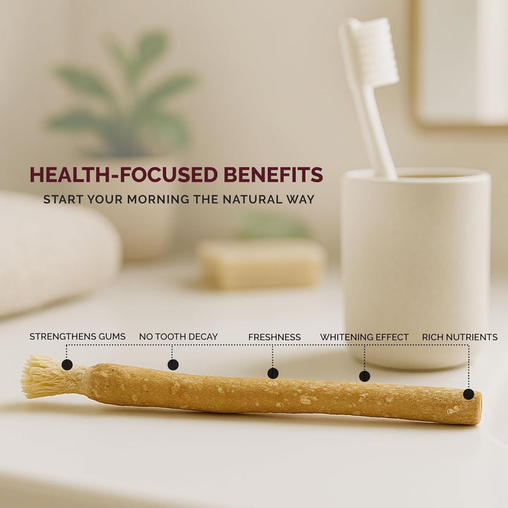 12Pcs Miswak Sticks with 2 Holders for Natural White Teeth- Original Siwak Traditional Arabian Toothbrush, Wooden Chew Sticks for Organic Teeth Cleaning & Mouth Care||Pack of 12