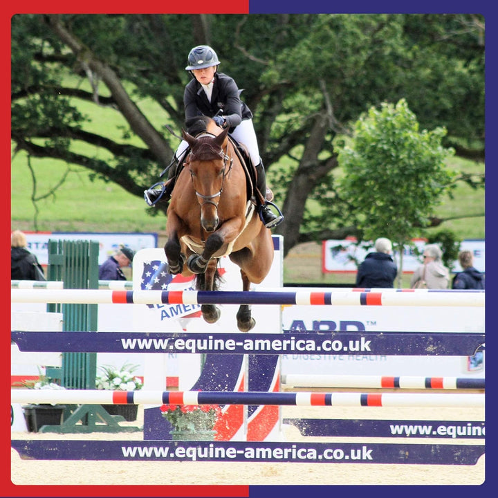 Equine America Turmeric Xtra 3KG