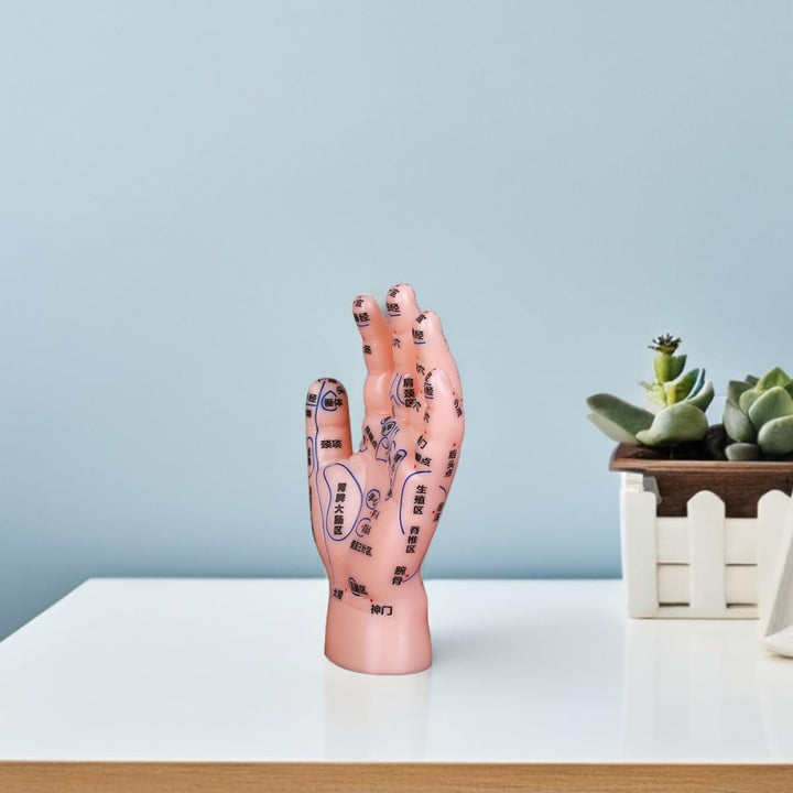 PVC Hand Acupuncture Model for Reflexology and Massage Education with Markings Beginner-Friendly Simulation Hand Tool for Tcm Teaching and Training in Medical and Massage Settings