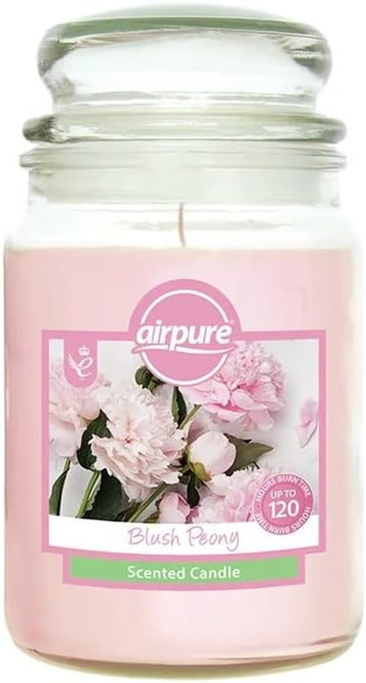 - Large Candle Scented, Gingerbread Fragrance - 120 Hour