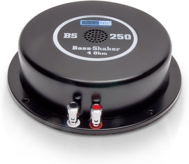 14019 BS 250 Noise Generator 4 Ohm, Black
