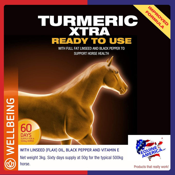 Equine America Turmeric Xtra 3KG