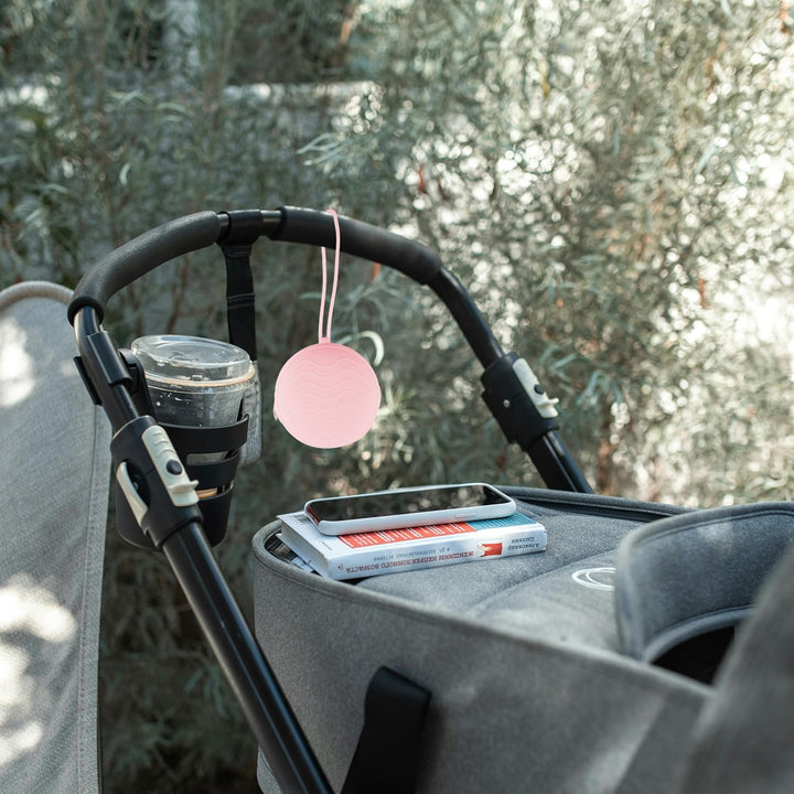 2 Pack Dummy Holder Cases with Strap,Safe Durable Pacifier Storage Container Set,Universal Portable Baby Dummy Holder Pod Box Holder Bag Accessories for Travel Home(Purple,Pink)