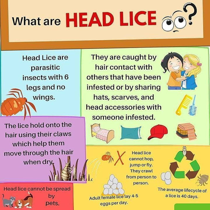 Escenti Kids Head Lice Treatment Defense Kit: Head Lice Shampoo, Tea Tree Conditioner & Leave-In Head Lice Prevention Spray for Kids Bundle by