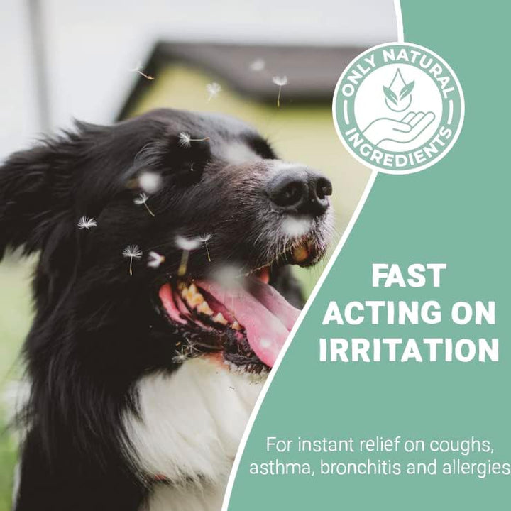 Cough Medicine for Dogs, Cats & Pets 30Ml - 100% Natural Dry Cough Liquid Drops Remedy for Kennel Cough, Respiratory Tract Symptoms, Dry Nose, Sneezing & Barky Hacking