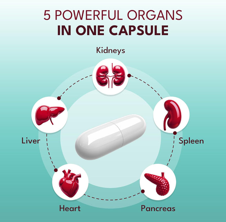 Organic Grass-Fed Beef Organs Proprietary Blend of Liver, Heart, Kidney, Pancreas, Spleen, Freeze-Dried Beef 180 Capsules, No Fillers or Binders