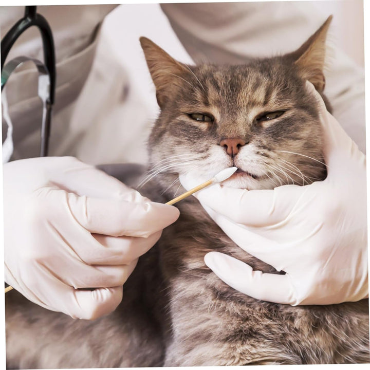 500Pcs Long Precision Cotton Swabs Ear Cleaning Swabs Makeup Applicator Sticks Cotton Tipped Applicator Keyboard Cleaning Tools