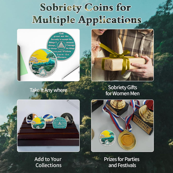 17 Years Sobriety Coin Sun Chips Alcoholics Anonymous Medallion AA Chips and Medallion Sobriety Gifts for Men Women Anniversary Token Recovery Gift Forest Tree Coin