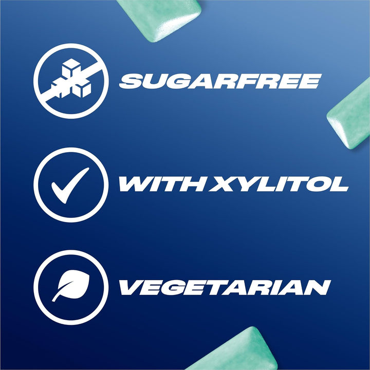 Chewing Gum Menthol & Eucalyptus, 46 Pieces, Sugar Free Chewing Gum Bottle with Menthol Freshness