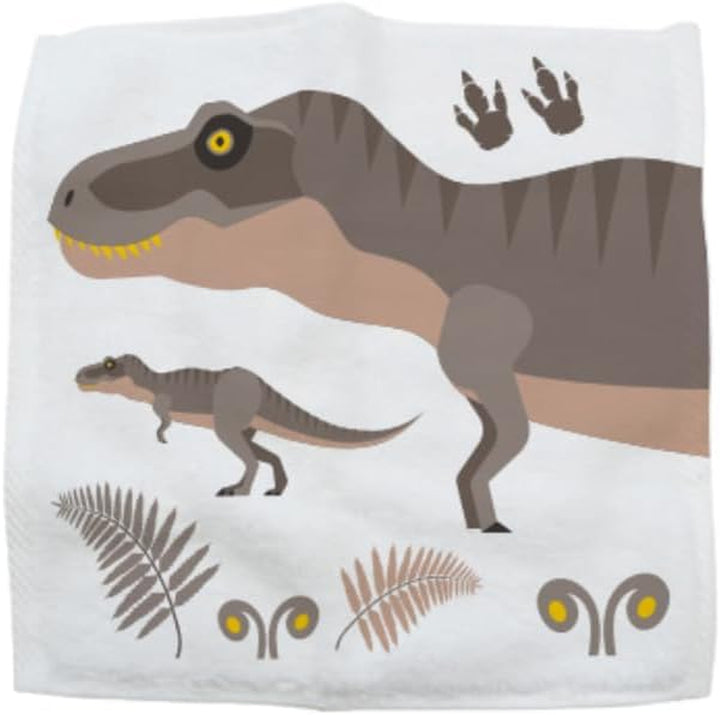 Wash Cloth - Dinosaur Magic Flannel, Face Cloths Flannels Cotton - Fun Designs for Children, Baby, Kids - 6 Unique Designs (1 Supplied at Random)