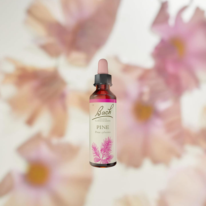 Original Flower Remedies (Pine) Find Joy & Hope, Have Self-Respect, Emotional Wellness, Natural Flower Essence, 20Ml