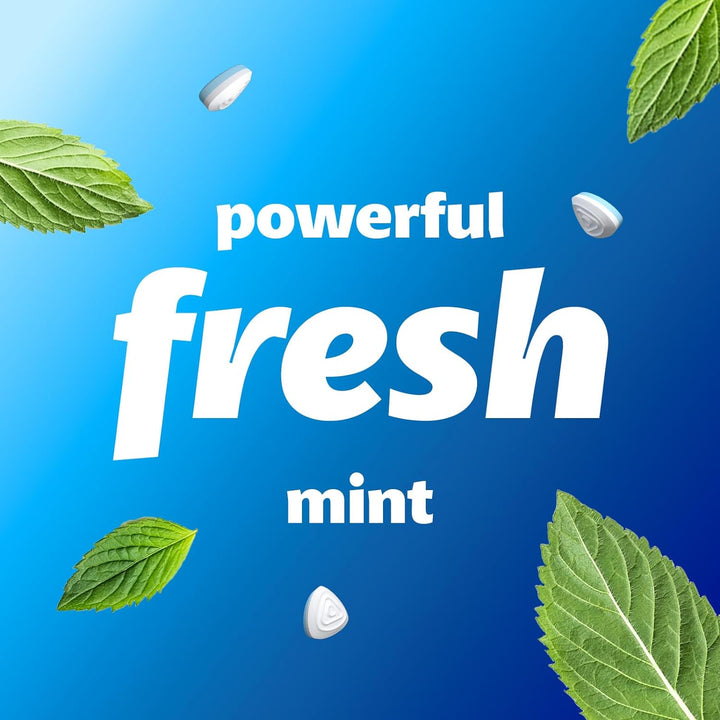Sugar Free Mints, Peppermint Flavour, Suitable for Vegetarians - 50 XXL Tin