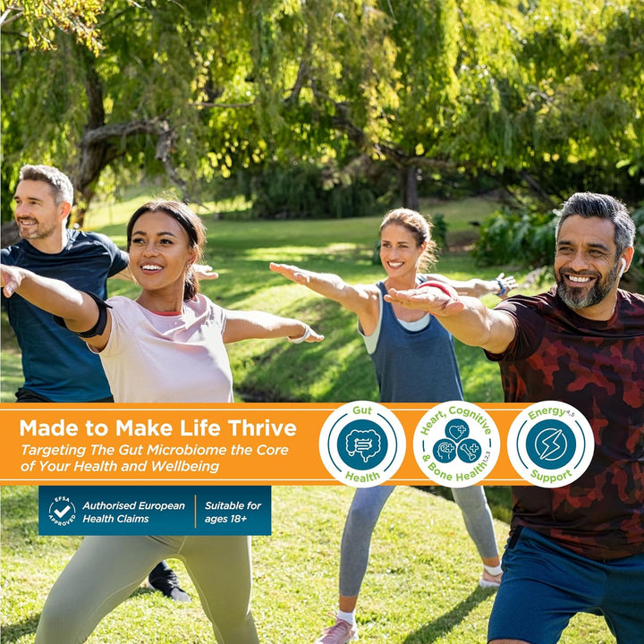 Prebiotic Fibre Complex for Gut Health by  – Probiotic Support, Digestive Wellness, Immune System Support – Magnesium for Anxiety, Mood & Energy – 30 Servings