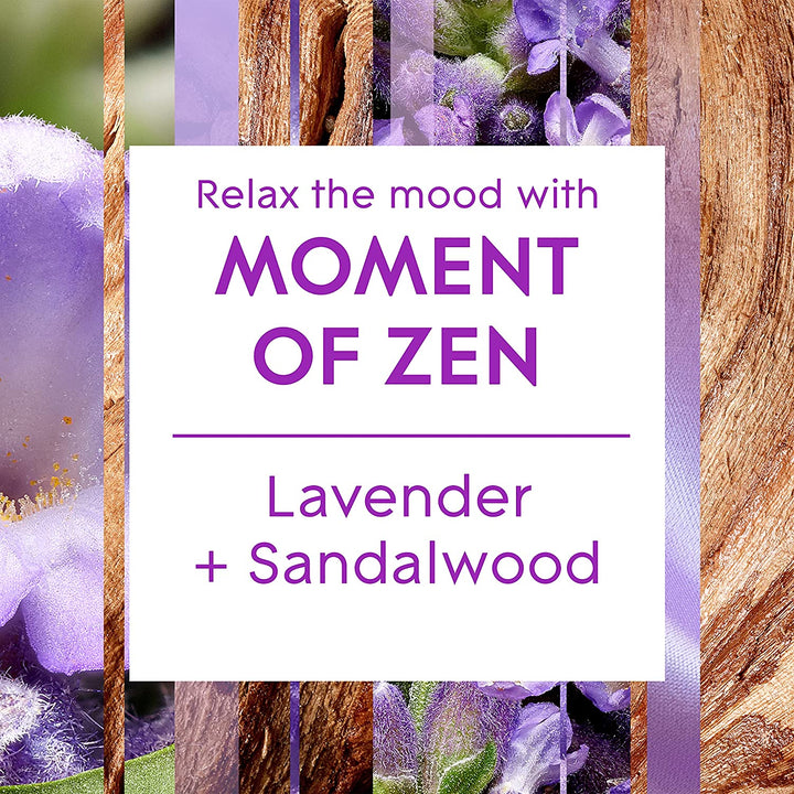 Aromatherapy Reed Diffuser, Home Decor Essential Oils Diffuser Calming Fragrance, Moment of Zen with French Lavender & Australian Sandalwood, 80 Ml