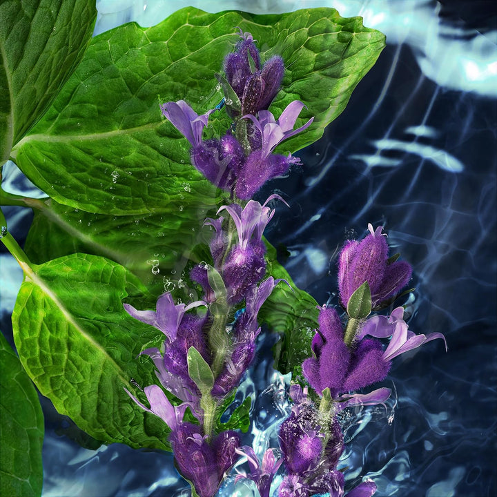 Cool Water Man Aftershave Splash, 125 Ml