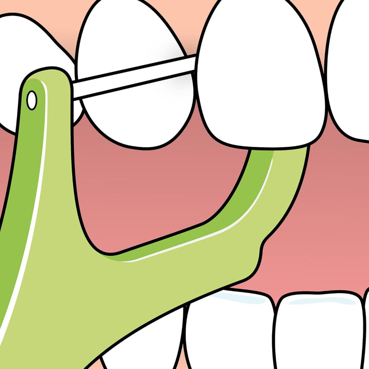 Mini Flosser, 36Pcs, Flossers for Teeth, Efficient Dental Plaque Removal Tool for Easy Cleaning between Teeth, for Narrow Gaps