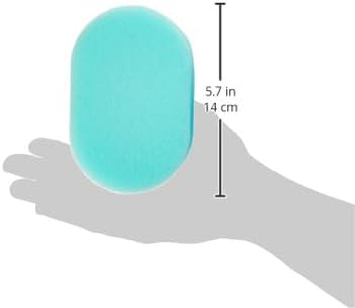 Standard Bath Sponge, Assorted Color