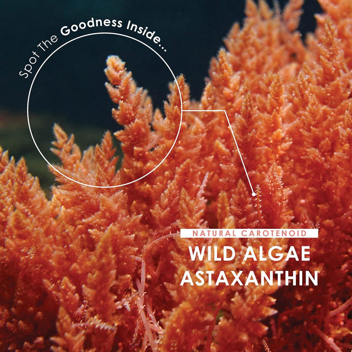 Wild-Algae Astaxanthin 160Mg - High Strength Providing 8Mg Astaxanthin Antioxidant - 90 Softgels - Resealable and Recyclable Pouch by