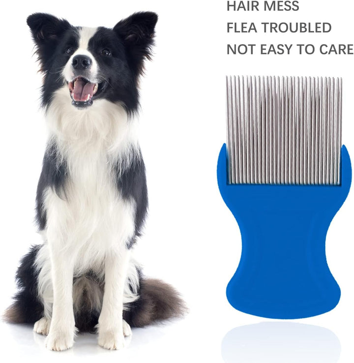 6Pcs Lice Comb,Double Sided Nit Comb for Head Lice Treatment[Including Long Thick Hair], Nit Free Comb for Kids Pets and Adults