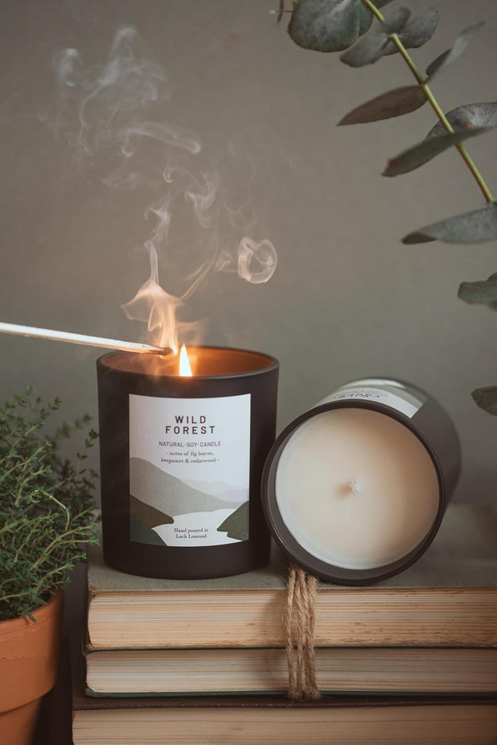Wild Forest - Organic & Vegan, Luxury Scented Soy Wax Candles. Hand Poured in Loch Lomond, Scotland |  Limited (+8 Scent Options, X2 Sizes) 450G