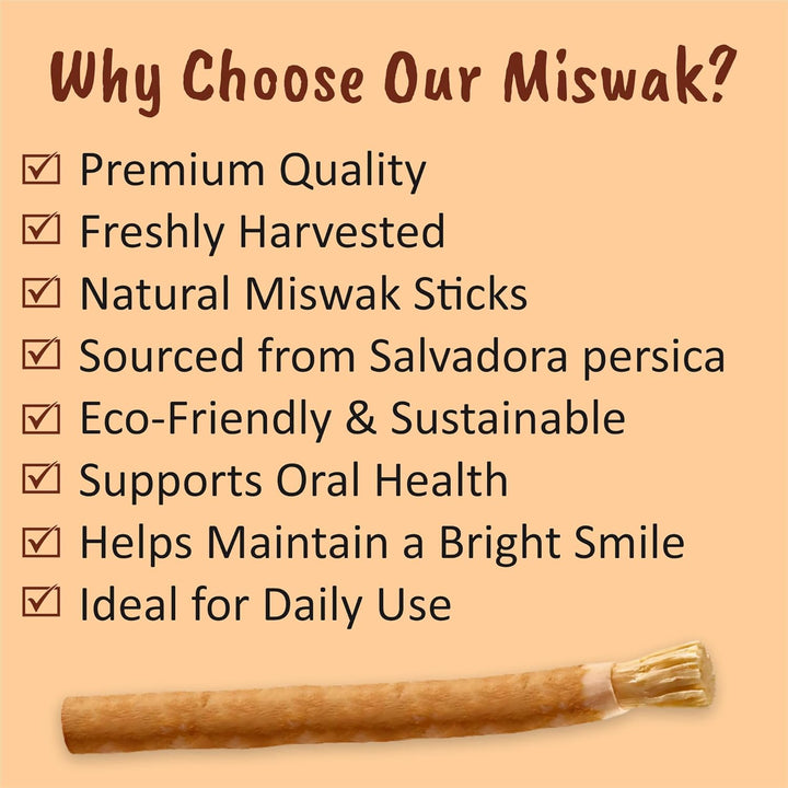 Miswak Sticks for Teeth Cleaning – Natural Siwak Toothbrush, Pack of 3 Miswak Stick with 3 Holders