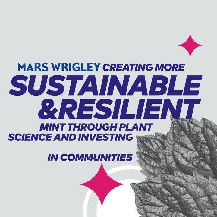 Wrigley'S  White Chewing Gum, Bubblemint Flavour, 46 Pieces, Sugar Free Chewing Gum Bottle with Xylitol