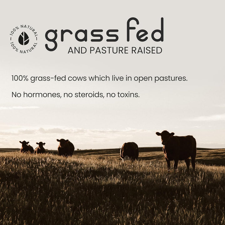 Bovine Collagen Powder 500G | 50 Servings | Highly Bioavailable Hydrolyzed Collagen Supplements for Women | Bovine Pure Peptides Powder High Strength Supplements for Women & Men |