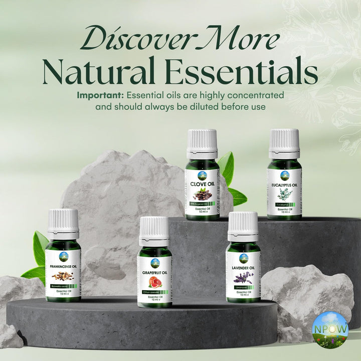 Clove Oil for Toothache Pain Relief for Adult – Oil of Cloves for Toothache Natural Dental Solution, Clove Bud Oils, Cloves Extract for Oral Care, Tooth Pain Relief and Dental Health - 10Ml